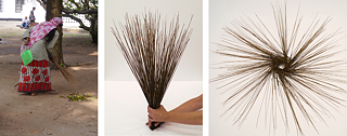 collage of the indian broom © © Ingo Gerken collage of the indian broom