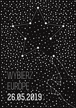 Europawahl 2019, Dawid Malek, © CC0 