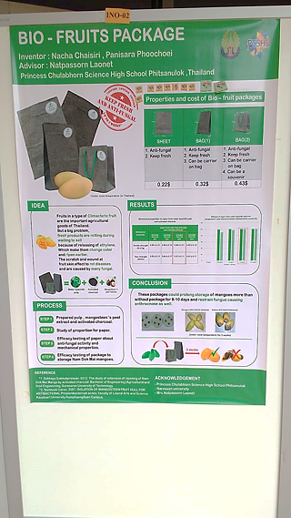 Ein sehr interessantes Projekt über eine biologische Verpackung aus Wasserhyazinthen, Aktivkohle und der Schale von Mangostin 