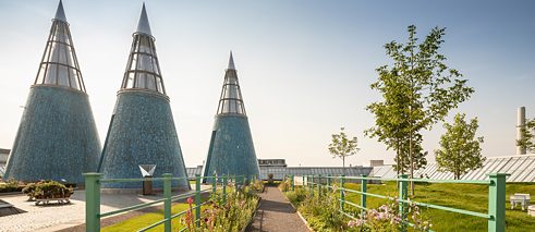 Gartenansicht, Juli 2019