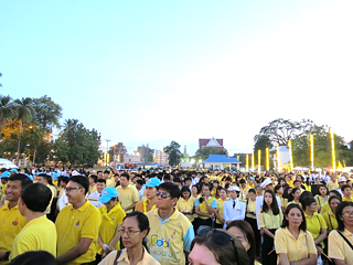 Gelb ist die Farbe der Monarchie und wird immer zu Ehren des Königshauses getragen