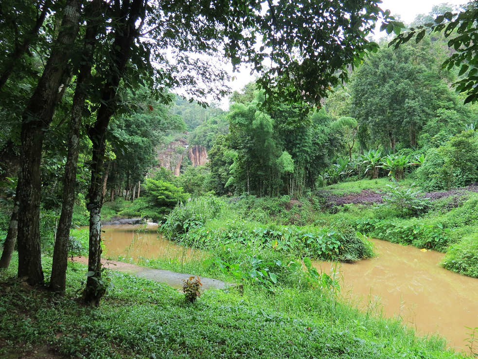 Im thailändischen Dschungel