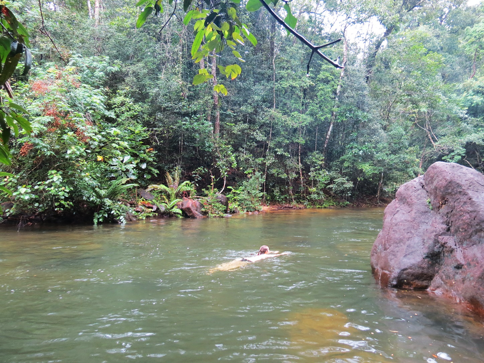 Schwimmen im Fluss mitten im Dschungel