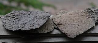 Teaser weathering Juliane Tübke