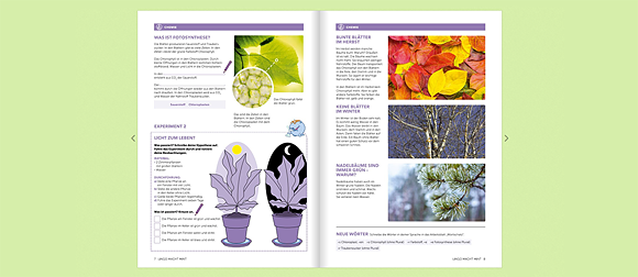 LINGO macht MINT Heft 10