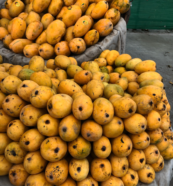 Pakistanische Mangos