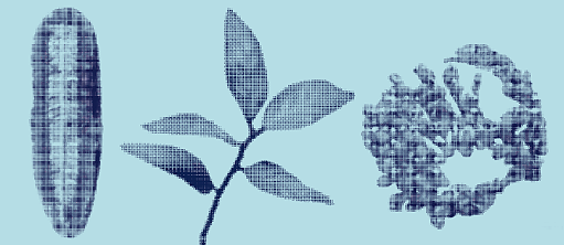 Relocating Narratives