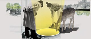 Festival cinéma du monde de Sherbrooke