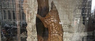 Judith Schalanksy: Schuppentier