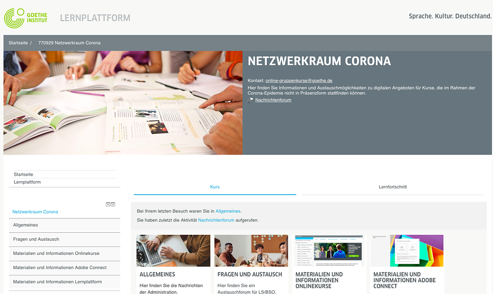 Der Netzwerkraum Corona
