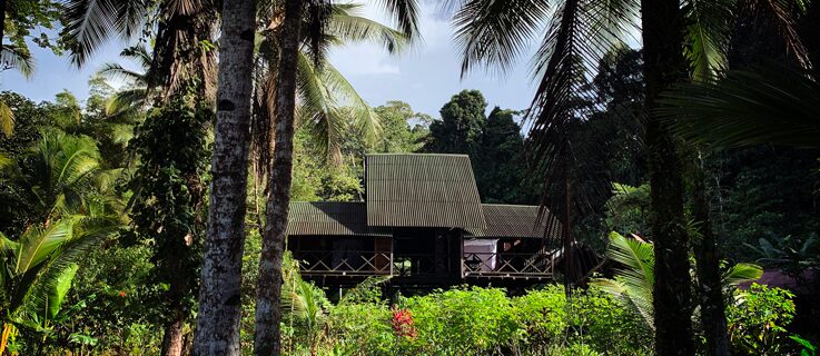 Angela Schubot & Jared Gradinger