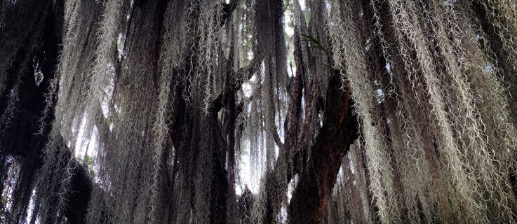 Angela Schubot & Jared Gradinger