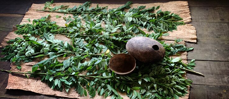 Angela Schubot & Jared Gradinger