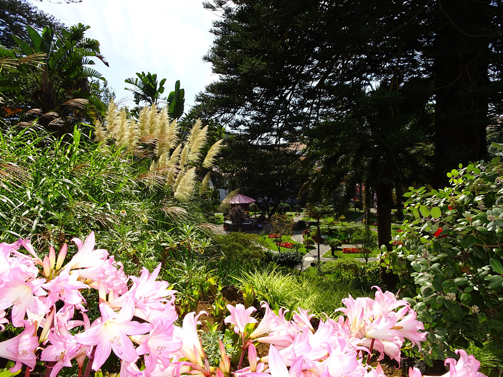Im Jardim Público
