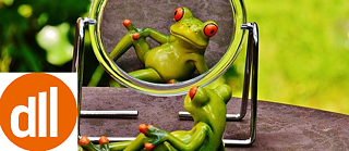 Frosch im Spiegelbild