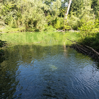 <b>Au bord de l’eau au parc Malou (Bruxelles, Belgique)</b><br><br>Comment se rafraîchir quand on ne trouve pas de piscines en plein air ? Par exemple, en venant visiter les nombreux parcs et lacs bruxellois. Nous sommes ici dans le plus ancien parc public de la commune de Woluwe Saint-Lambert : le parc Malou, qui nous invite à venir nous promener et à observer la vie sauvage.
