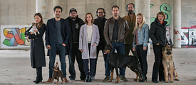 Serienfieber Dogs of Berlin