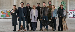 Binge Fever Dogs of Berlin