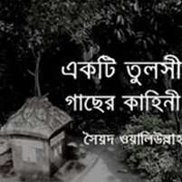 Ekti Tulsi Gachher Kahini
