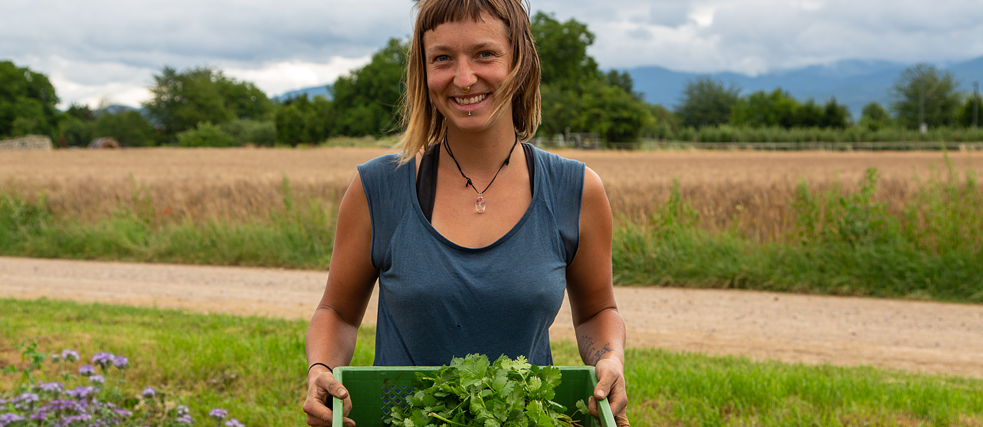 Die GartenCoop, in der Nähe von Freiburg, ist mit 300 Mitgliedern eine der größten Solawi.