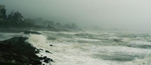 When the Androgynous Child