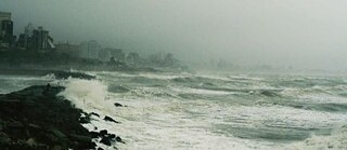 When the Androgynous Child &copy; (C) Cuando el niño andrógino When the Androgynous Child