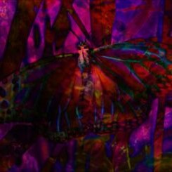 Labor of Love &copy; Labor of Love, (C) Sylvia Schedelbauer Labor of Love