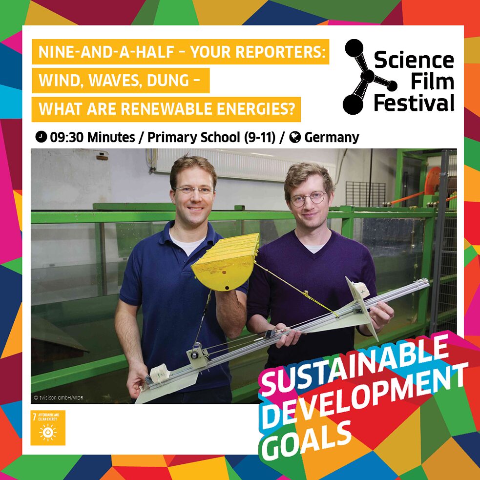 SFF 2020: Nine-and-a-half-Your reporters: Wind, Waves, Dung