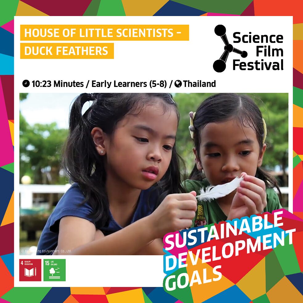 SFF 2020: House of Little Scientists - Duck Feathers