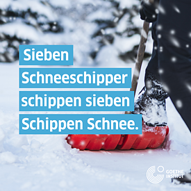 Schneeschipper