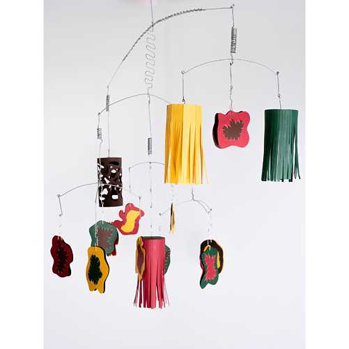 Biomorph - Duangkaew Chaovawanich