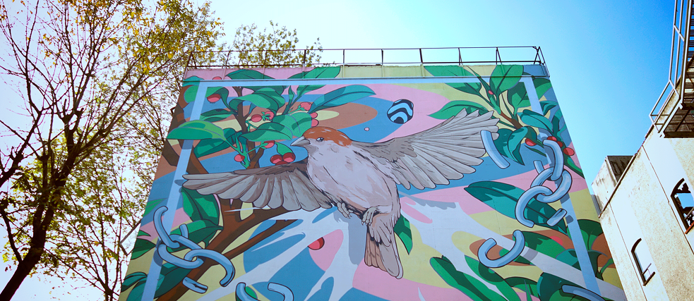 El espacio ha adquirido vida propia y cada vez evoluciona más.